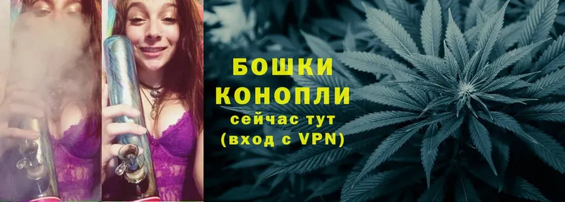 Конопля SATIVA & INDICA  Отрадная 